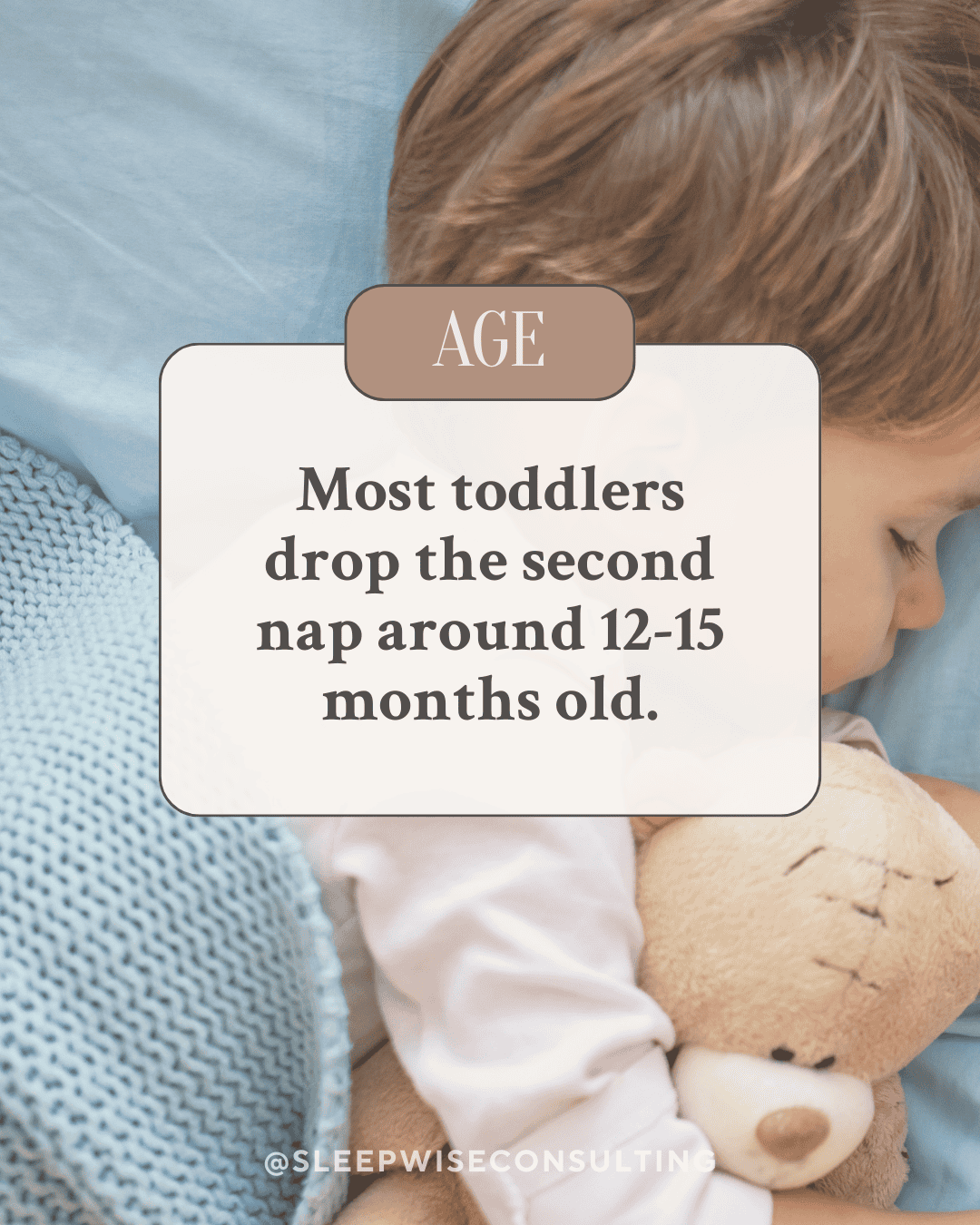 when to drop from 2 to 1 nap schedule