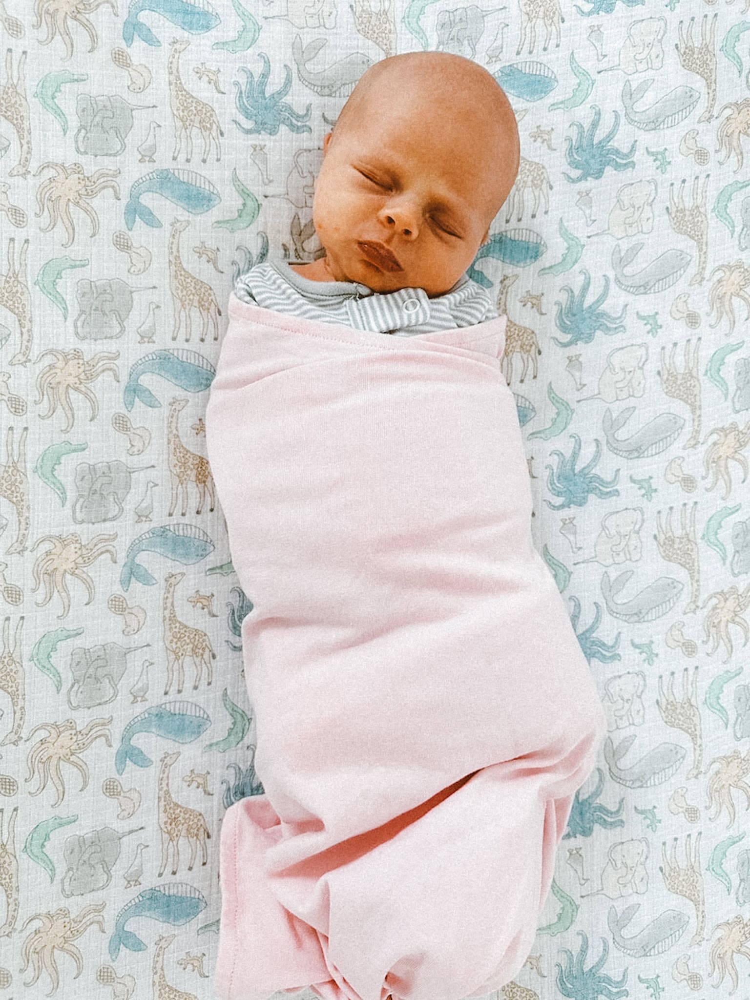 A swaddle should be snug but not tight. Make sure that two fingers can slide between the chest and swaddle. The top of the swaddle should reach the shoulders and chest of your baby.